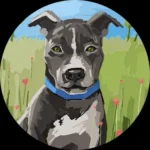 Google review profile photo of Chance Cade