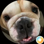 Google review profile photo of V Simmons